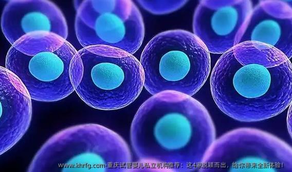 重庆试管婴儿私立机构推荐：这4家脱颖而出，给你带来全新体验！