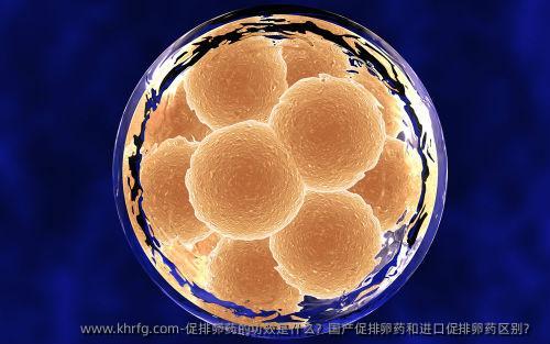 促排卵药的功效是什么？国产促排卵药和进口促排卵药区别？ 