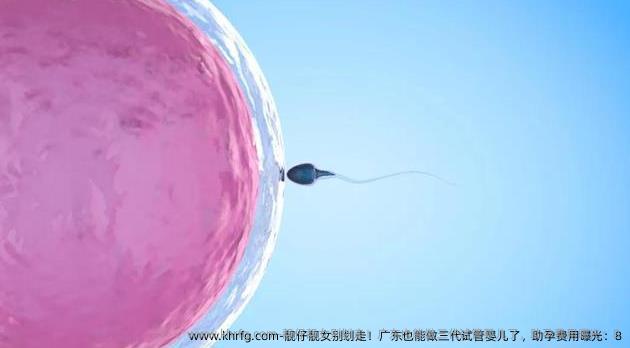 靓仔靓女别划走！广东也能做三代试管婴儿了，助孕费用曝光