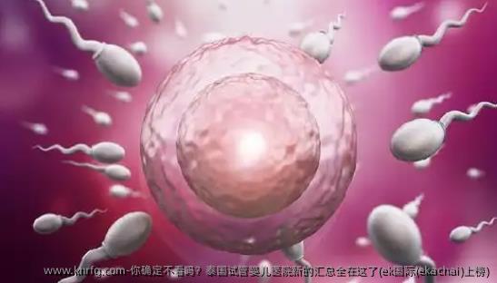 你确定不看吗？泰国试管婴儿医院新的汇总全在这了(ek国际(ekachai)上榜)