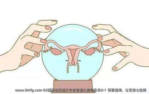 EK国际医院做三代试管婴儿费用是多少？预算透明，让您安心选择