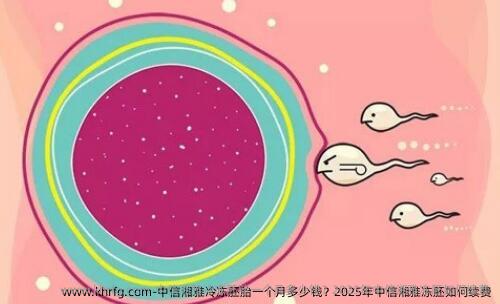 中信湘雅冷冻胚胎一个月多少钱？2025年中信湘雅冻胚如何续费