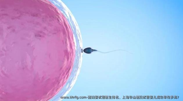 国妇婴试管医生排名，上海华山医院试管婴儿成功率有多高？