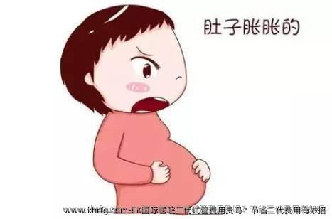 EK国际医院三代试管费用贵吗？节省三代费用有妙招