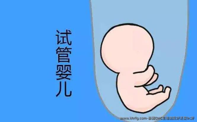 泰国DHC生殖医院好还是lrc好