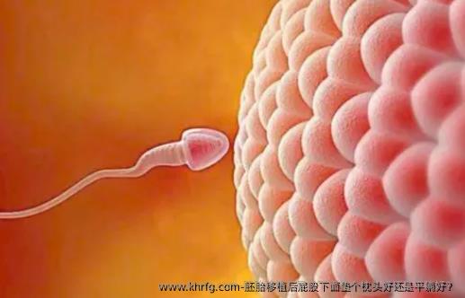 胚胎移植后屁股下面垫个枕头好还是平躺好？