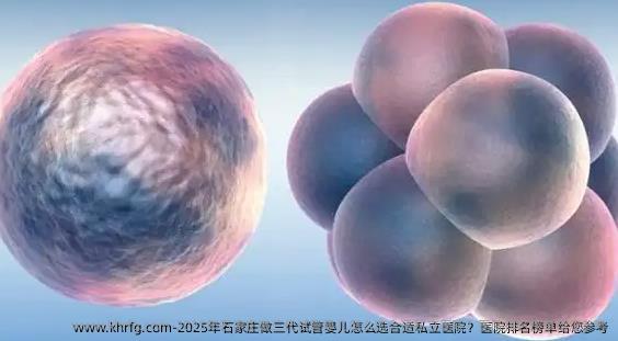 2025年石家庄做三代试管婴儿怎么选合适私立医院？医院排名榜单给您参考