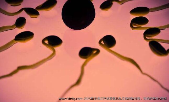 2025年天津三代试管婴儿私立医院排行榜，附成功率前5推荐