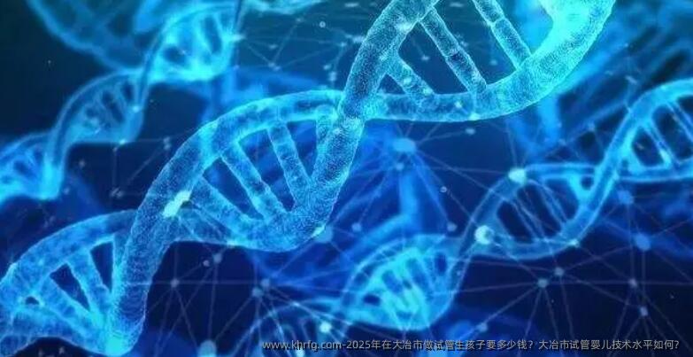 2025年在大冶市做试管生孩子要多少钱？大冶市试管婴儿技术水平如何？