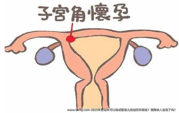2025年江山市可以做试管婴儿的医院有哪些？费用纳入医保了吗？