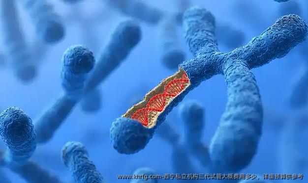西宁私立机构三代试管大概费用多少，详细预算供参考