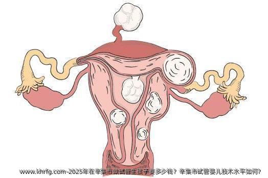 2025年在辛集市做试管生孩子要多少钱？辛集市试管婴儿技术水平如何？