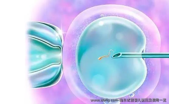 海东试管婴儿医院及费用一览，试管婴儿每个人都个人都能做吗