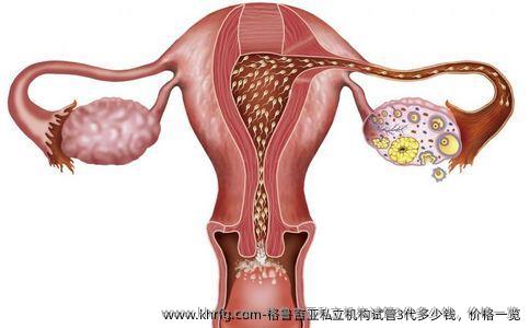 格鲁吉亚私立机构试管3代多少钱，价格一览