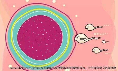 毕节私立机构第三代试管婴儿的流程是什么，三分钟带你了解全过程