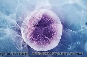 除了内膜厚度，还有哪些因素会影响试管婴儿的成功率？