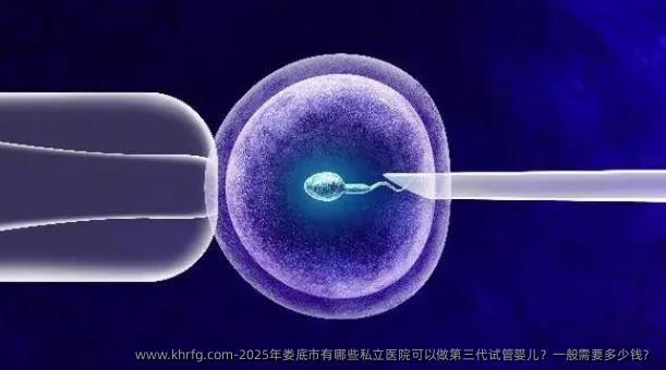 2025年娄底市有哪些私立医院可以做第三代试管婴儿？一般需要多少钱？