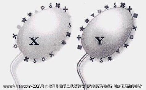 2025年天津市能做第三代试管婴儿的医院有哪些？能用社保报销吗？