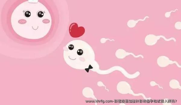 新冠疫苗加强针影响备孕和试管人群吗？