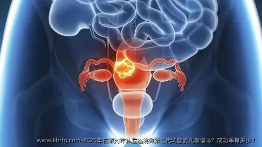 2025年在蛟河市私立医院做第三代试管婴儿靠谱吗？成功率有多少？