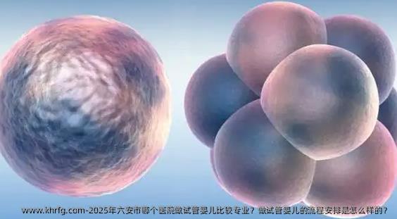 2025年六安市哪个医院做试管婴儿比较专业？做试管婴儿的流程安排是怎么样的？