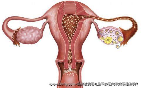 做完试管婴儿后可以回老家的医院生吗？