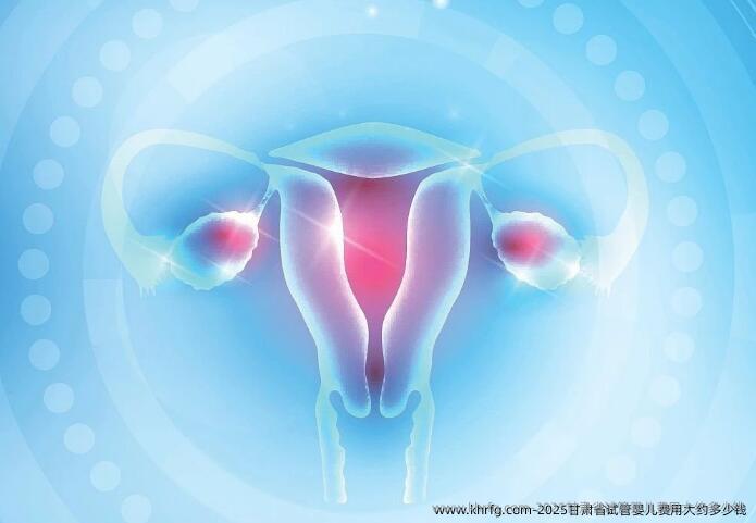 2025甘肃省试管婴儿费用大约多少钱