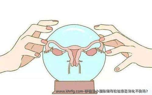 移植后小腹胀痛有拉扯感是消化不良吗？