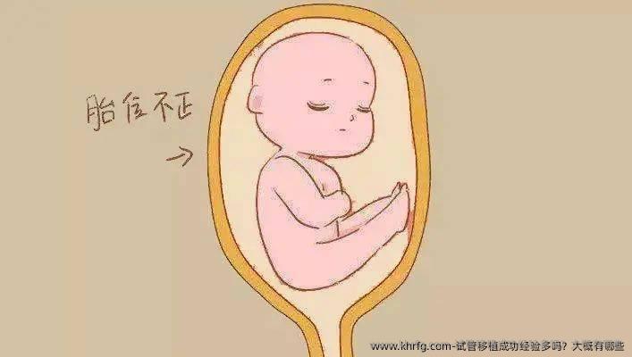 试管移植成功经验多吗？大概有哪些经验