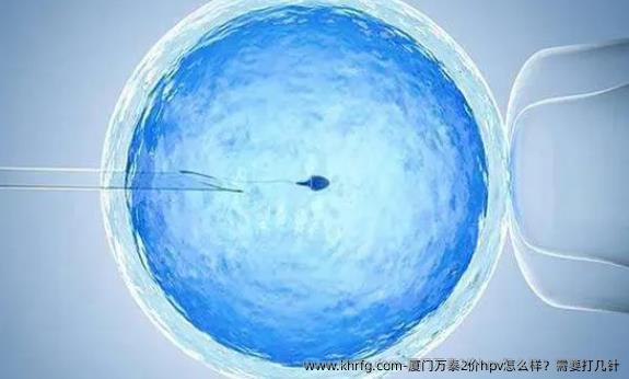 厦门万泰2价hpv怎么样？需要打几针