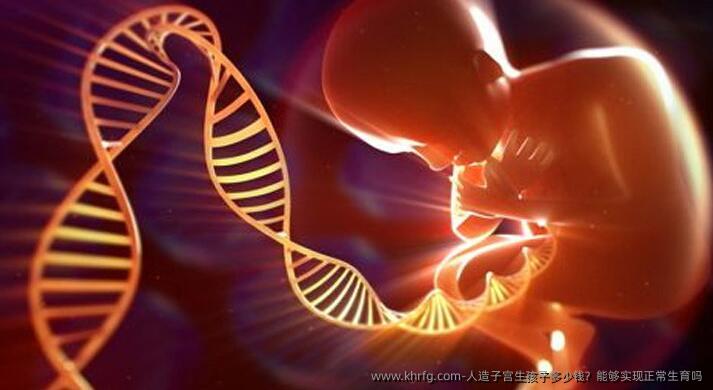 人造子宫生孩子多少钱？能够实现正常生育吗