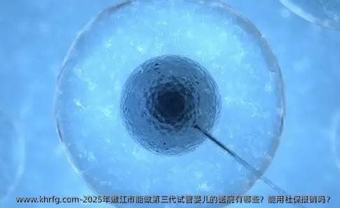 2025年嫩江市能做第三代试管婴儿的医院有哪些？能用社保报销吗？
