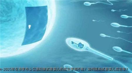 2025年在赤壁市公立医院做试管婴儿的成功率高不高?如何提高试管婴儿成功率?
