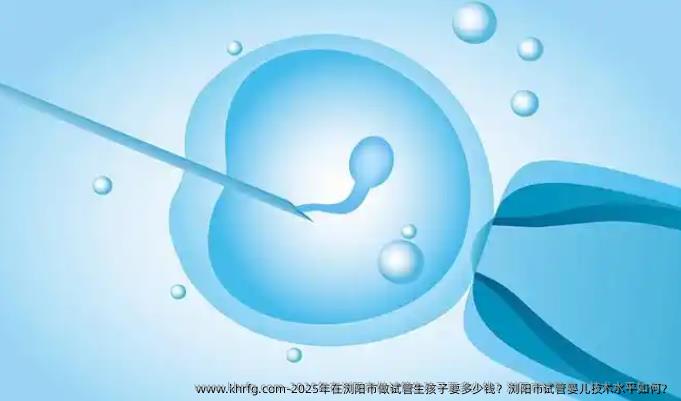 2025年在浏阳市做试管生孩子要多少钱？浏阳市试管婴儿技术水平如何？