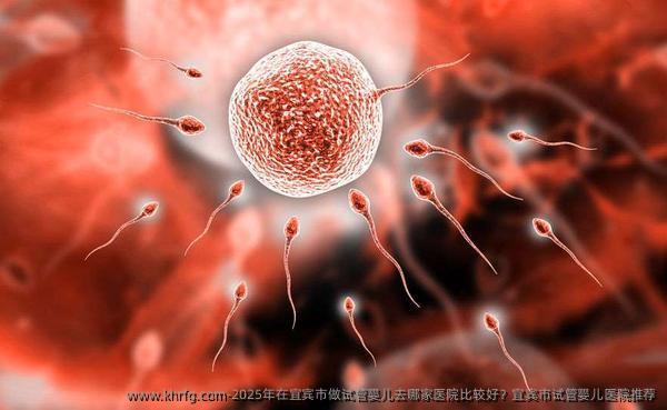 2025年在宜宾市做试管婴儿去哪家医院比较好？宜宾市试管婴儿医院推荐