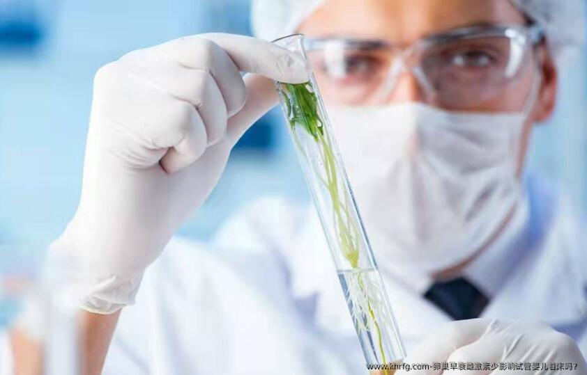 卵巢早衰雌激素少影响试管婴儿着床吗?