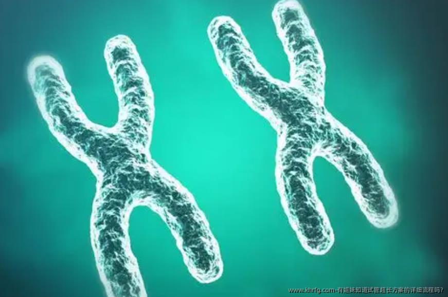 有姐妹知道试管超长方案的详细流程吗?