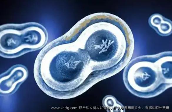 邢台私立机构试管婴儿的大概费用是多少,有哪些额外费用