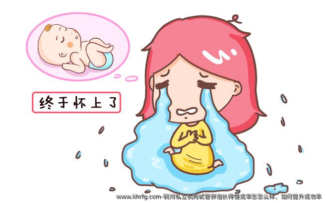 铜川私立机构试管卵泡长得慢成率怎怎么样,如何提升成功率