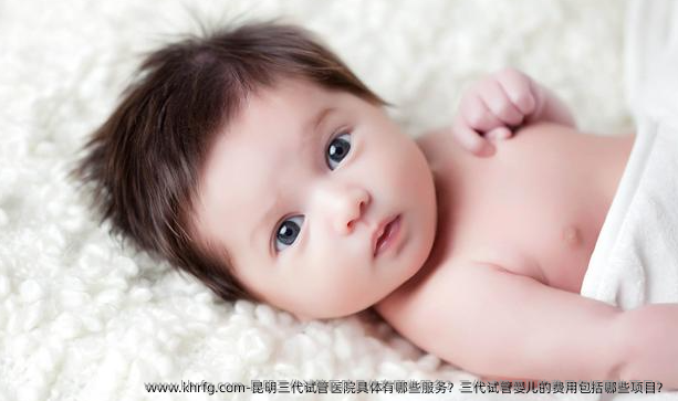 昆明三代试管医院具体有哪些服务？三代试管婴儿的费用包括哪些项目？