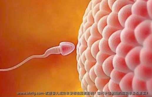 试管婴儿成功率受哪些因素影响？如何评估医院的成功率是否真实？