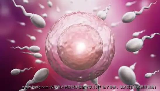 拉萨市人民医院能做试管婴儿吗?除了费用,我还需要考虑哪些因素?