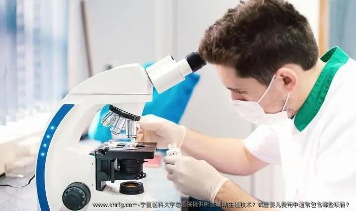 宁夏医科大学总医院提供哪些辅助生殖技术？试管婴儿费用中通常包含哪些项目？