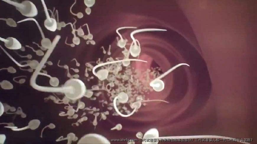 三代试管婴儿的费用包括哪些部分？三代试管婴儿和一代二代有什么区别？