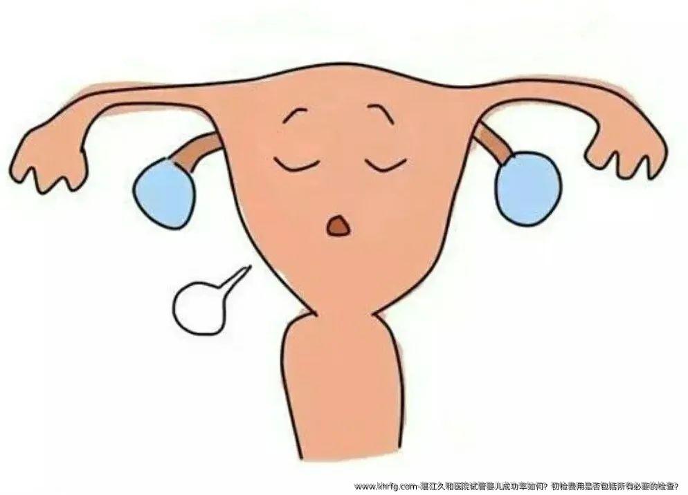 湛江久和医院试管婴儿成功率如何？初检费用是否包括所有必要的检查？