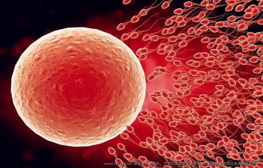 试管婴儿过程中，子宫内膜厚度多少最合适？试管婴儿的成功率大概是多少？