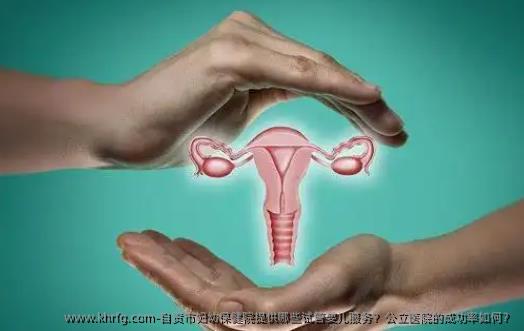 自贡市妇幼保健院提供哪些试管婴儿服务？公立医院的成功率如何？