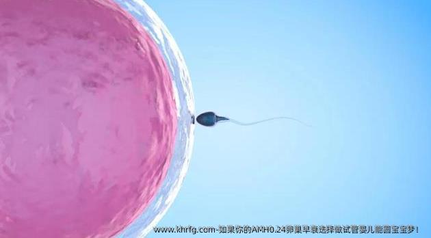 如果你的AMH0.24卵巢早衰选择做试管婴儿能圆宝宝梦！