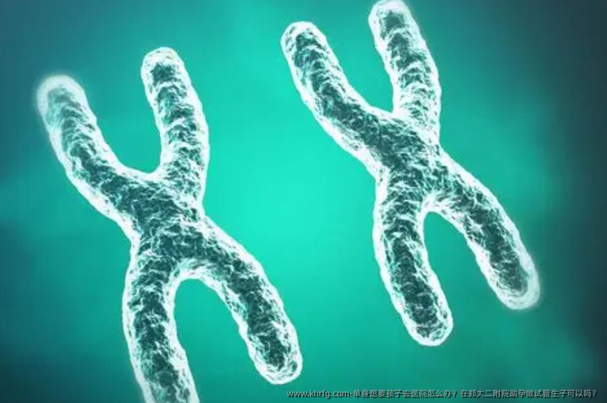 单身想要孩子去医院怎么办？在郑大二附院助孕做试管生子可以吗？