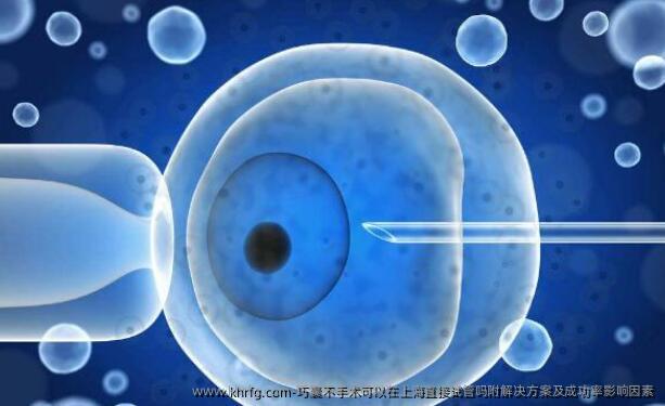 巧囊不手术可以在上海直接试管吗附解决方案及成功率影响因素